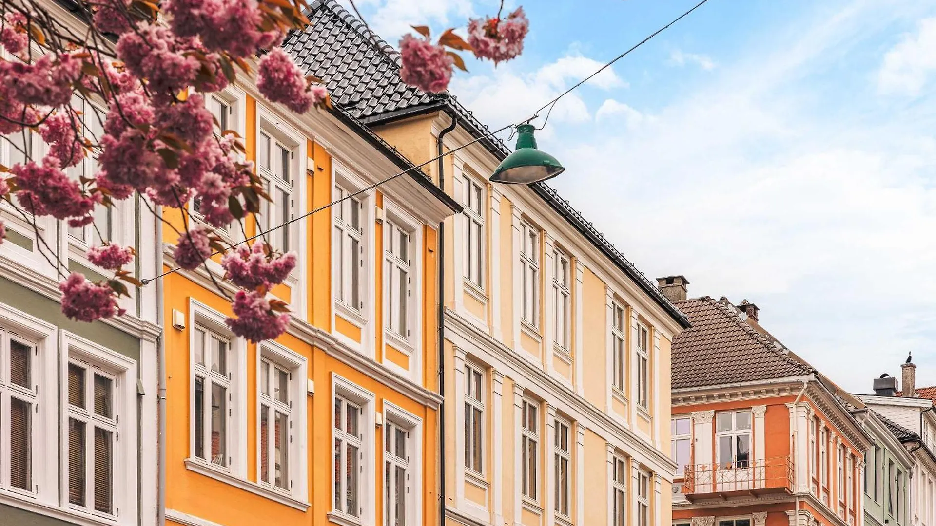 Dinbnb Apartments L 250M To Bryggen L Backyard L Smart-Tv L 6 Guests Bergen